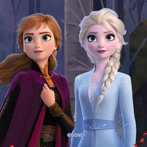 Disney Frozen II Anna and Elsa Moto E5 Play Skin